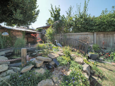 Picture 15